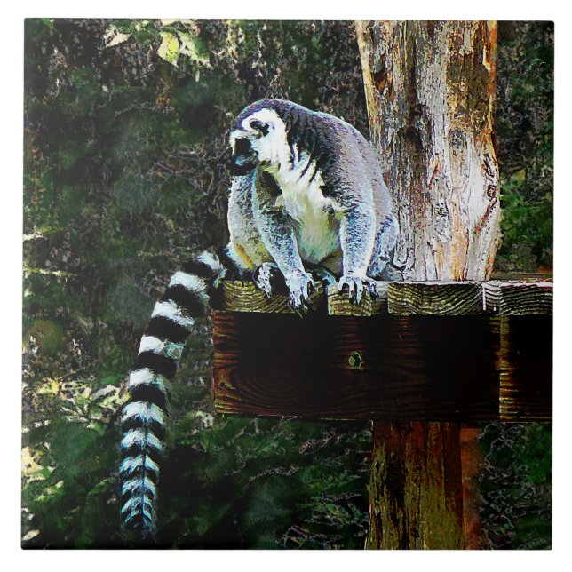 Ring-Tailed Lemur Ceramic Tile (Front)