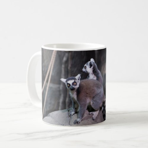 Ring_tailed lemur coffee mug