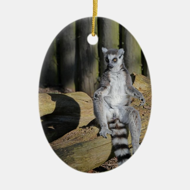 Ring Tailed Lemur Drusillas Park Ceramic Ornament (Front)