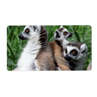 Ring-tailed Lemur Family Label