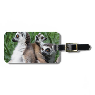 Ring-tailed Lemur Family Luggage Tag