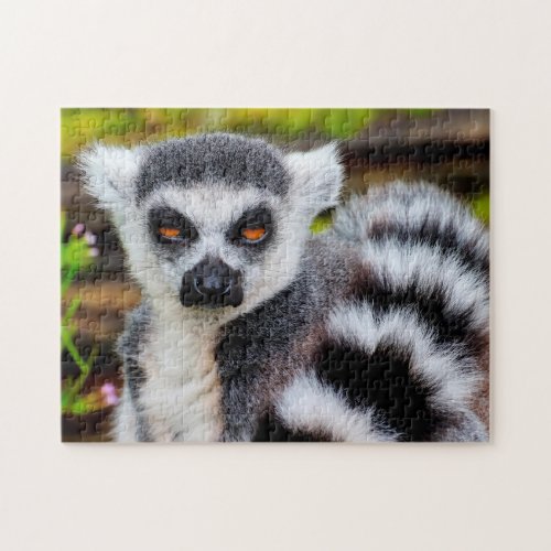Ring Tailed Lemur Jigsaw Puzzle