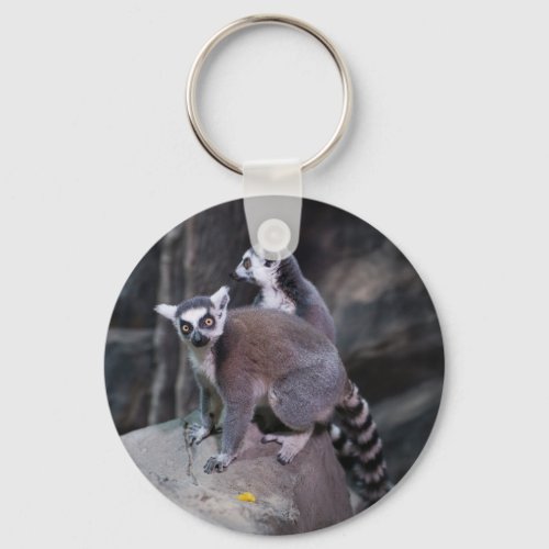 Ring_tailed lemur keychain