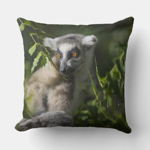 Ring tailed lemur Lemur catta Madagascar Throw Pillow