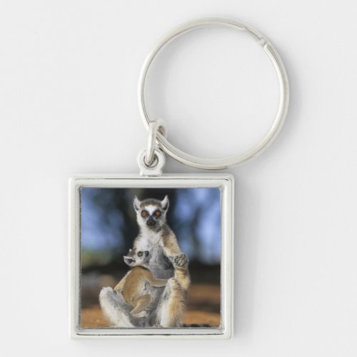 Ring_tailed Lemur Lemur catta Mother and Keychain