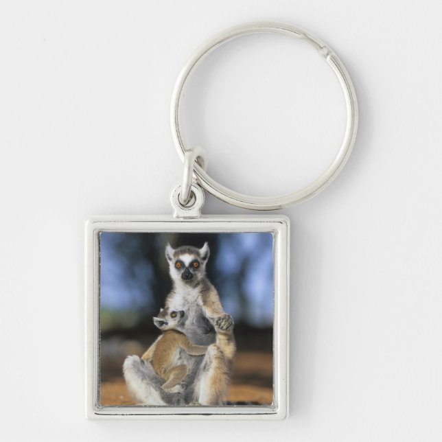 Ring-tailed Lemur, (Lemur catta), Mother and Keychain (Front)