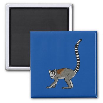 Ring Tailed Lemur  Magnet by PugWiggles at Zazzle
