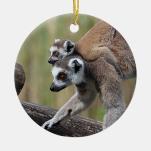 Ring_Tailed Lemur Mother And Baby Ceramic Ornament