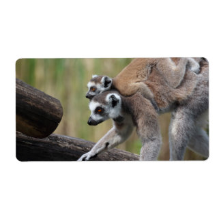 Ring-Tailed Lemur Mother And Baby Label