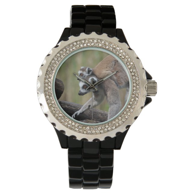 Ring-Tailed Lemur Mother And Baby Watch (Front)