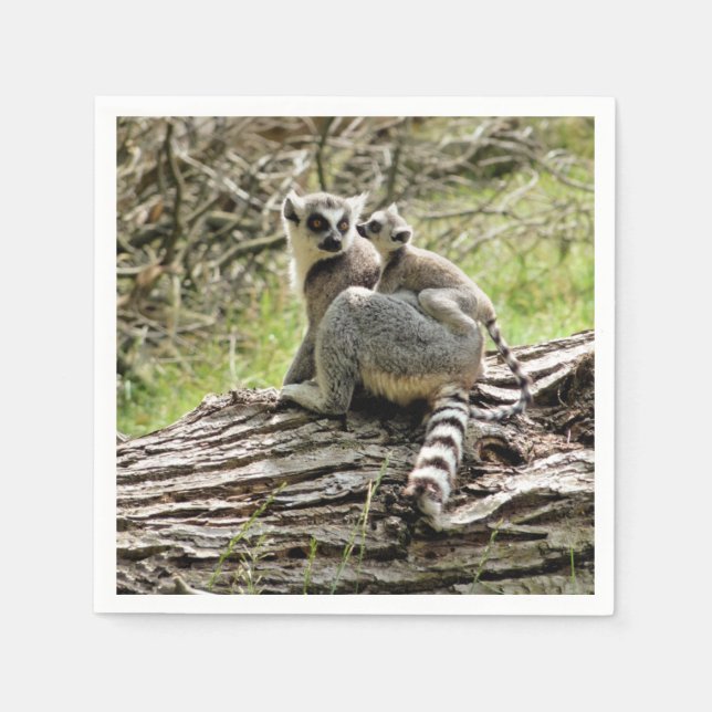 RING-TAILED LEMUR  NAPKINS (Front)