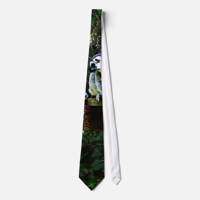 Ring-Tailed Lemur Neck Tie (Front)