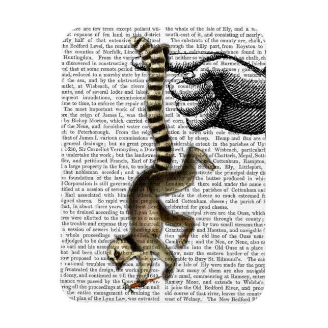 Ring Tailed Lemur on Finger 2 Magnet (Vertical)