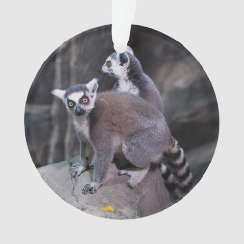 Ring_tailed lemur ornament