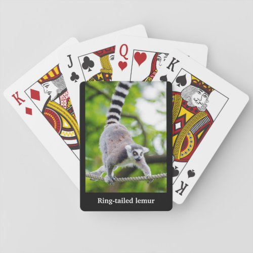 Ring_tailed lemur poker cards