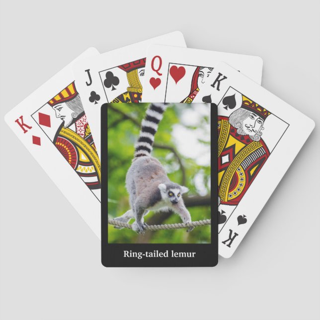 Ring-tailed lemur poker cards (Back)