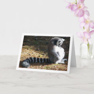Ring-tailed lemur Portrait Card