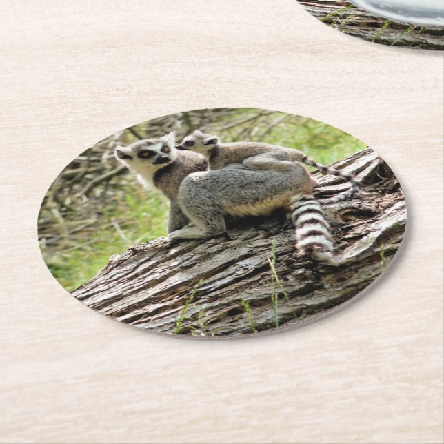 RING-TAILED LEMUR  ROUND PAPER COASTER (Angled)
