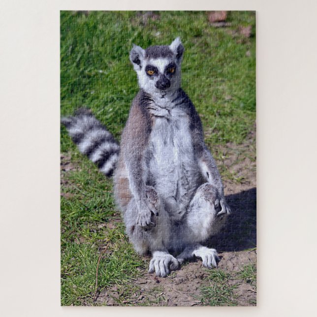 Ring-tailed lemur seating on grass postcard T-Shir Jigsaw Puzzle (Vertical)