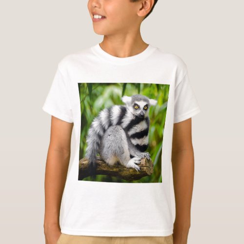 Ring_tailed lemur T_Shirt