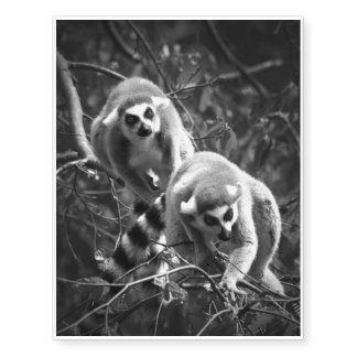 Ring Tailed Lemur Tattoo
