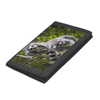 Ring Tailed Lemur Wallet