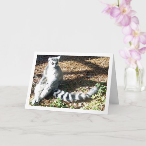 Ring_tailed lemur with Legs Crossed Card