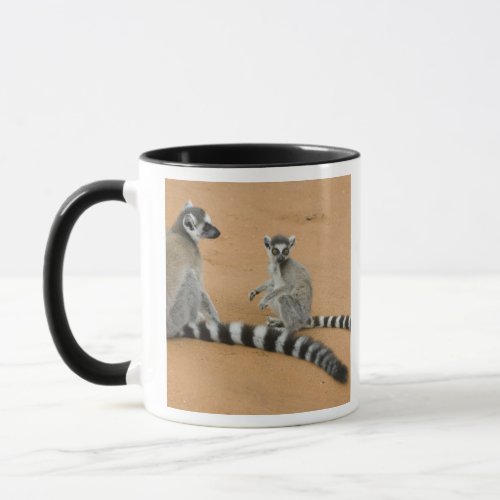 Ring_tailed Lemurs Lemur catta Berenty Mug