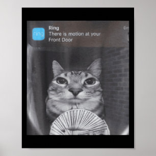 Ring There Is Motion At Your Front Door Funny Meme Poster