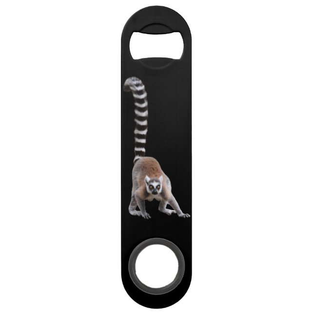 Ring-tiled lemur bar key (Front)