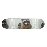 Ringed Raccoon  Skateboard