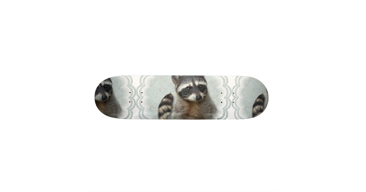 Ringed Raccoon Skateboard
