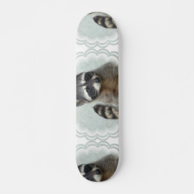 Ringed Raccoon  Skateboard Deck (Front)