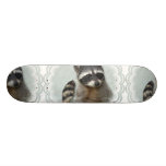 Ringed Raccoon  Skateboard Deck