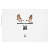 Ringed Seal (Back Horizontal)