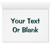 Ringed Seal (Inside Horizontal (Bottom))