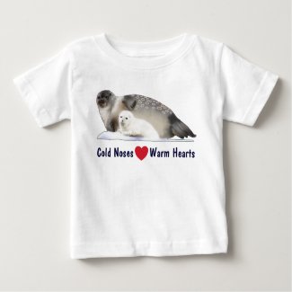 Ringed Seal