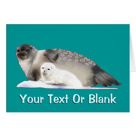 Ringed Seal Cards (Front Horizontal)