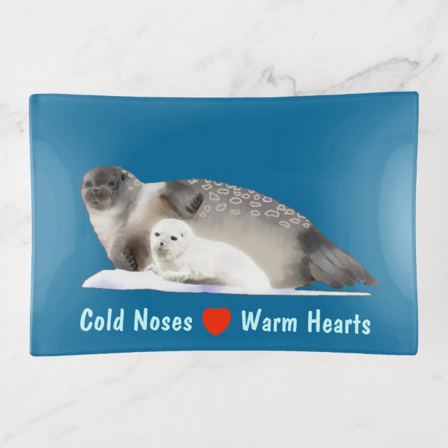 Ringed Seal - Cold Noses Warm Hearts Trinket Tray (Front)