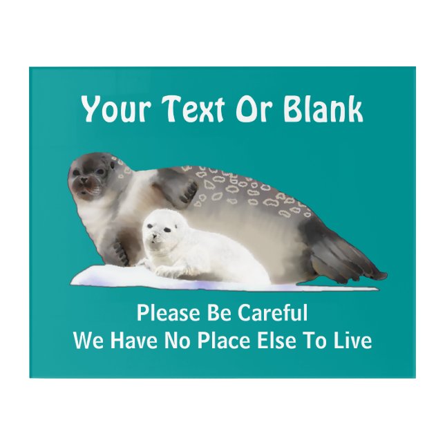 Ringed Seal - On Thin Ice Acrylic Print (Front)