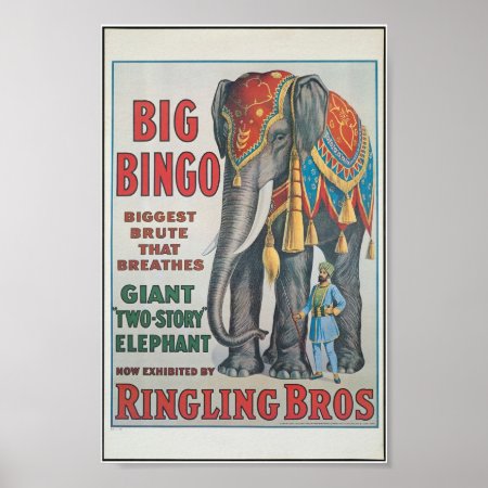 Ringing Bros Big Bingo The Elephant Circus Poster