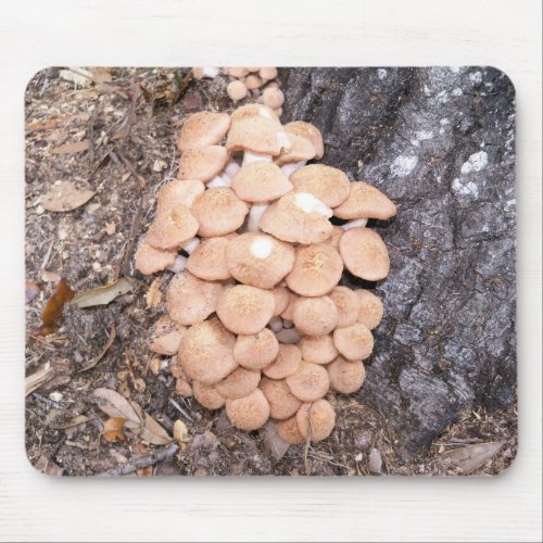 ringless honey mushrooms mouse pad