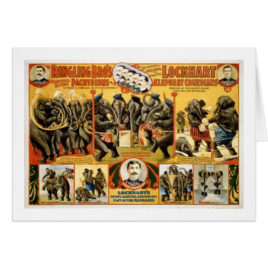 Ringling Bros Pachyderms1899 Cards (Front Horizontal)