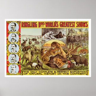 Ringling Bros. Wild Animal Advertisement 1900's Poster