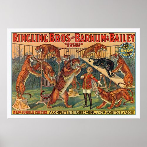 Ringling Brothers Barnum and Bailey Tigers Poster