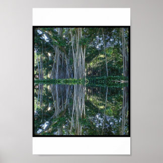 Ringling Museum Banyan Trees Poster