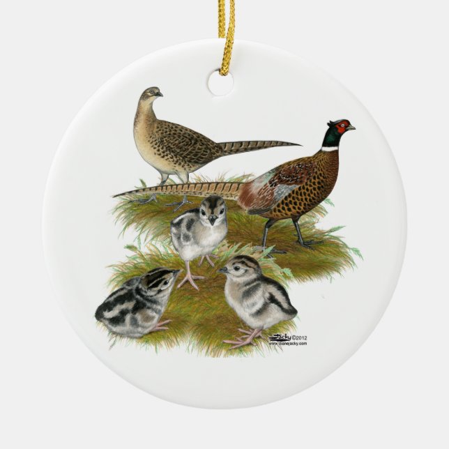 Ringneck Pheasant Family Ceramic Ornament (Front)