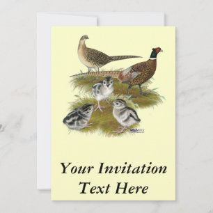 Ringneck Pheasant Family Invitation