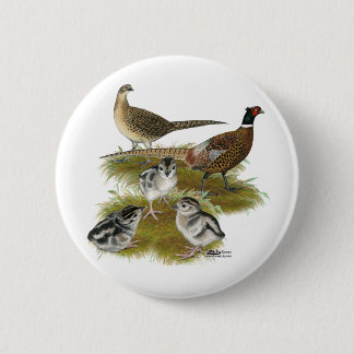 Ringneck Pheasant Family Pinback Button