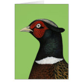 Ringneck Pheasant Head (Front)